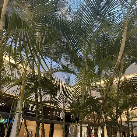 Fantastic Duplex With Terrace, Pools, And Beach Access Apartament